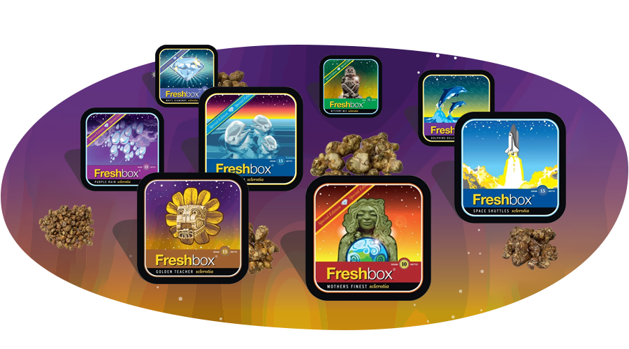 Freshbox Magic Truffles